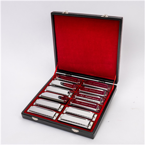 HARMONICA SET 10 HOLES 20 TONES (COFFRET DE 12 HARMONICAS)